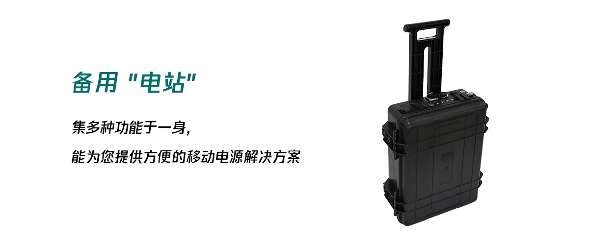 国电西高