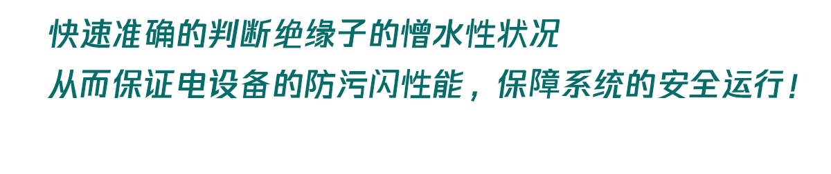 国电西高