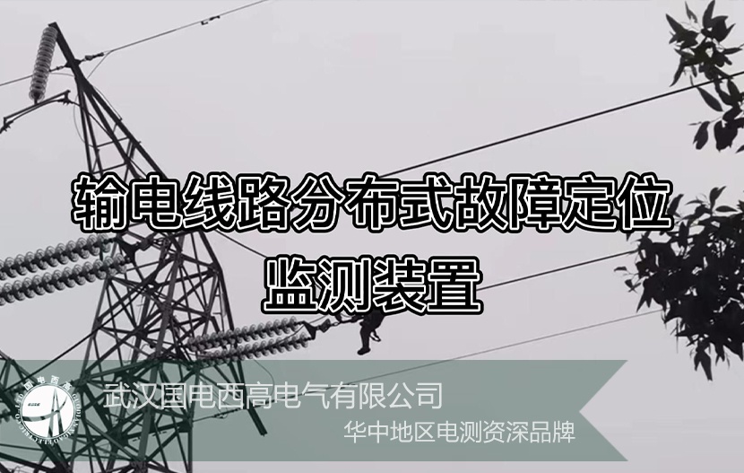 国电西高